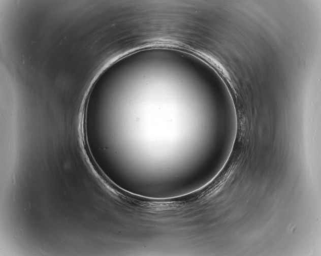 X0000093601391200710151213