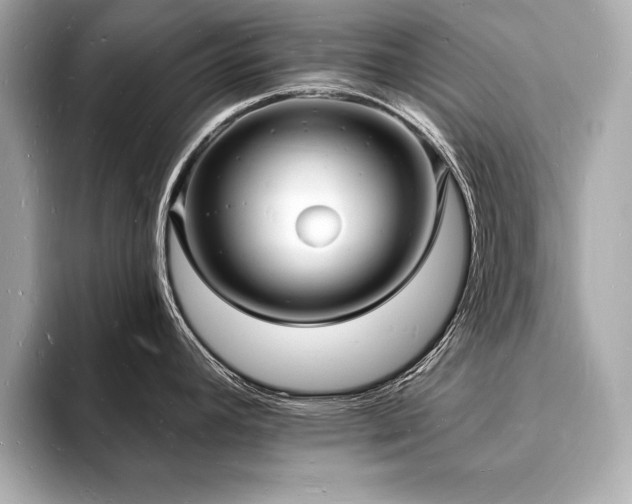 X0000093601392200710151213