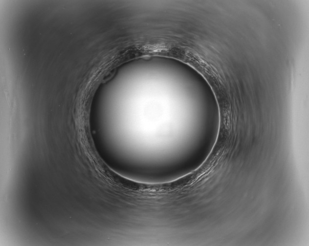 X0000093601393200710151212