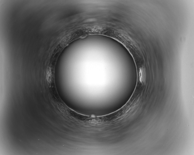 X0000093601395200710151212