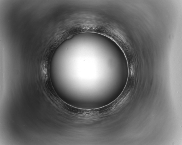 X0000093601396200710151212