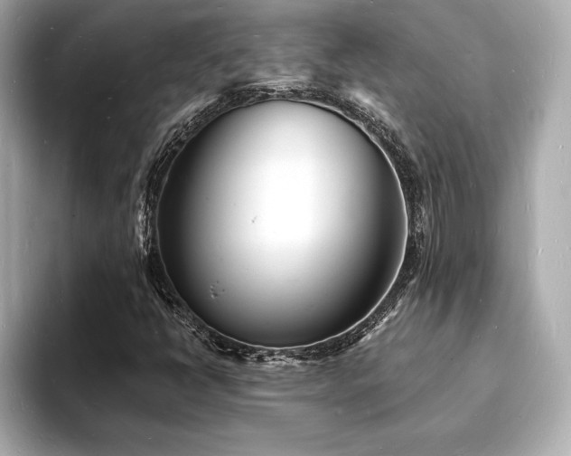 X0000093601398200710151212