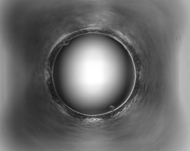 X0000093601400200710151212
