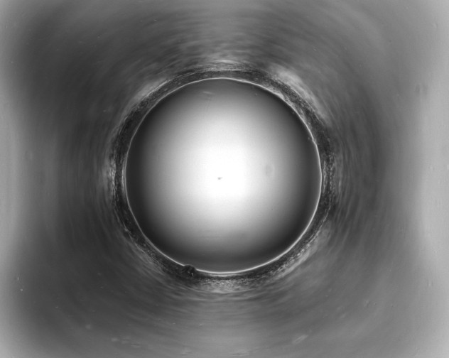 X0000093601402200710151212