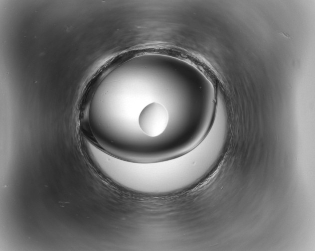X0000093601406200710151212