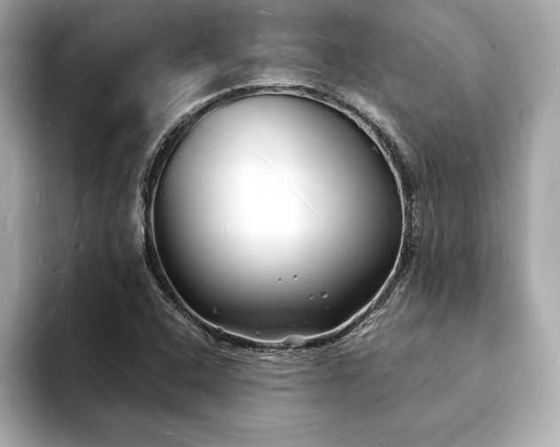 X0000093601408200710151212