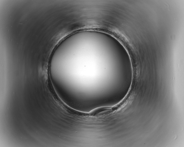 X0000093601409200710151212