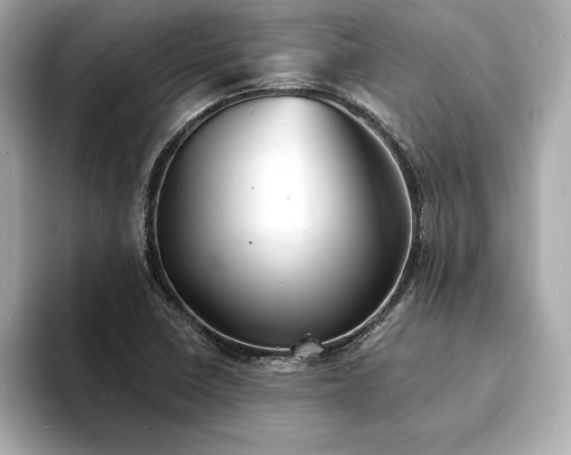 X0000093601410200710151213
