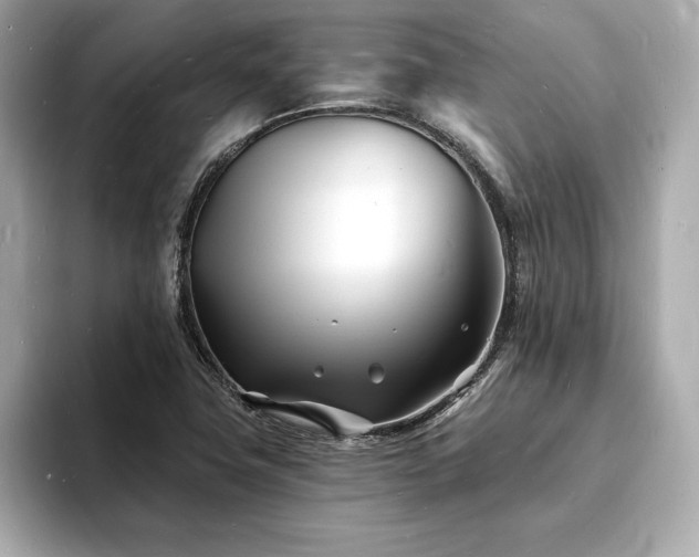 X0000093601411200710151213