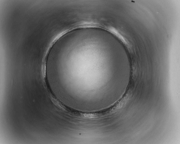 X0000093601413200710151213