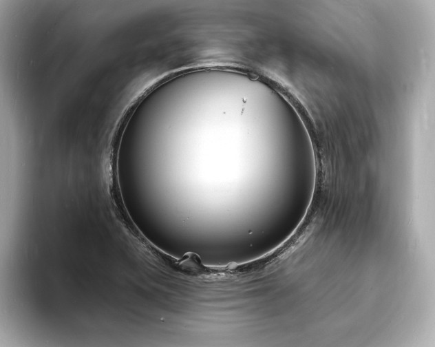 X0000093601415200710151213