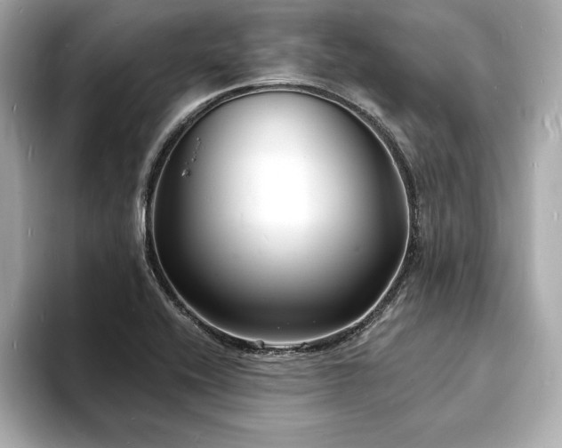 X0000093601416200710151213