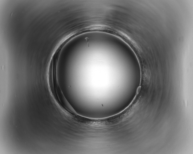 X0000093601418200710151213