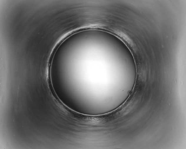 X0000093601420200710151213