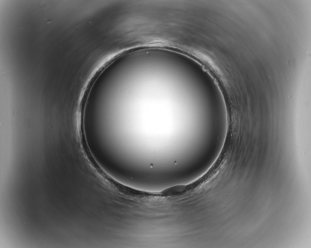 X0000093601424200710151213