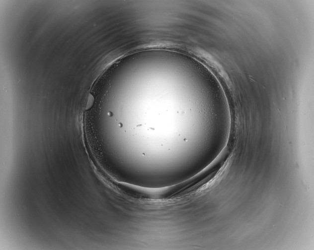 X0000093601425200710151213