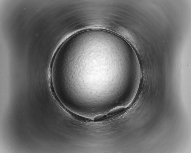 X0000093601428200710151213
