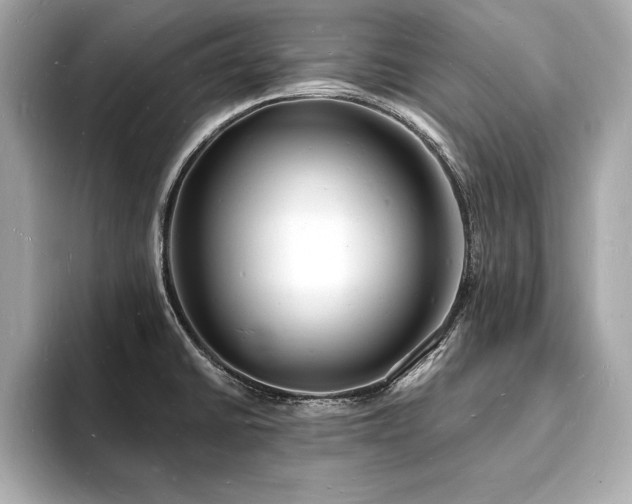 X0000093601430200710151213