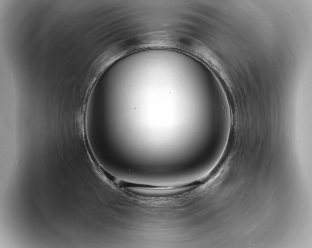 X0000093601433200710151213