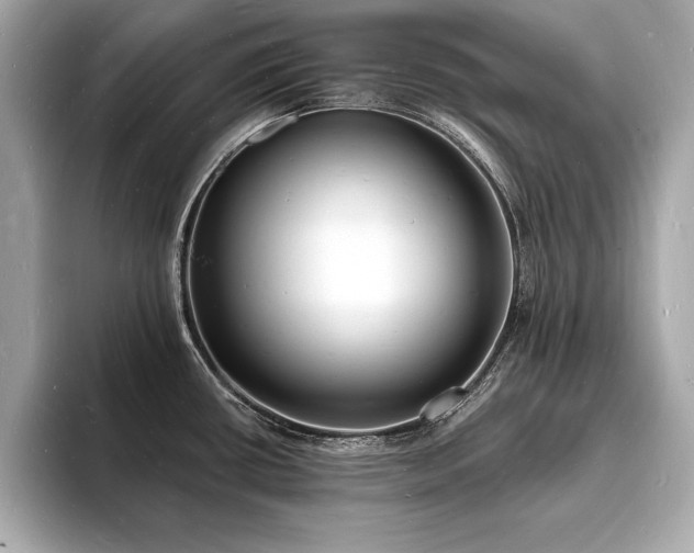 X0000093601434200710151213