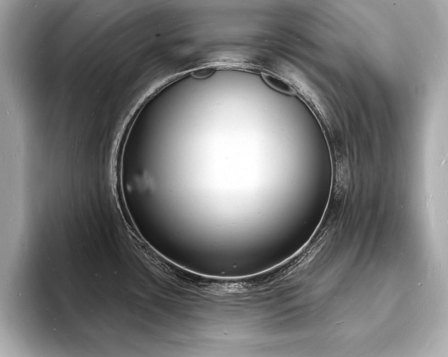 X0000093601435200710151213