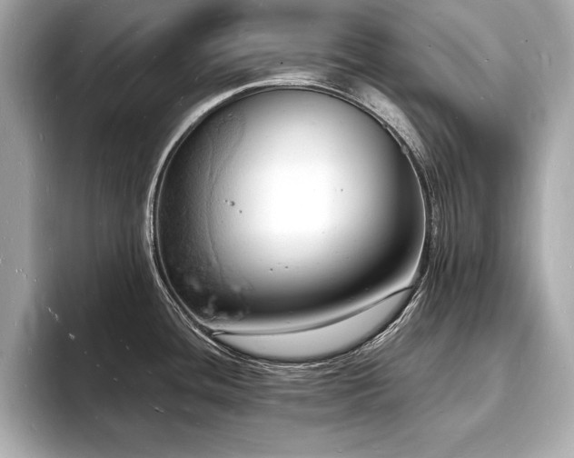 X0000093601436200710151213