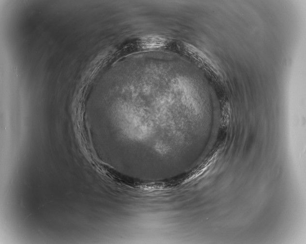 X0000093601441200710151212