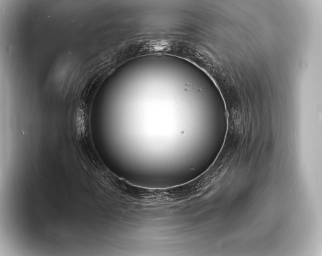 X0000093601442200710151212