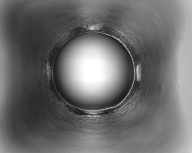 X0000093601443200710151212