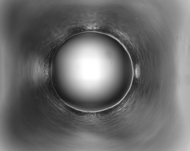 X0000093601444200710151212