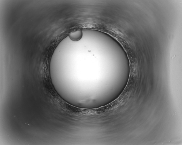 X0000093601446200710151212