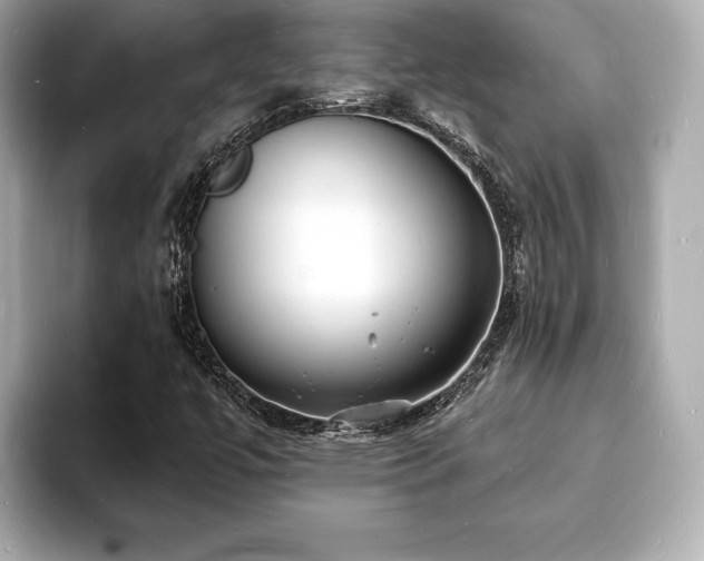 X0000093601447200710151212