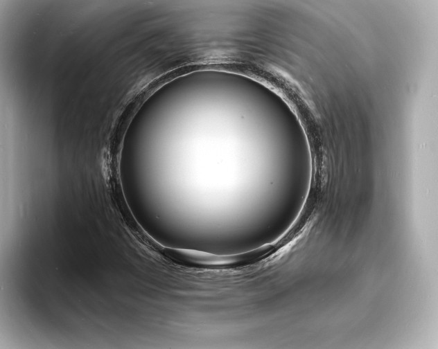 X0000093601449200710151212