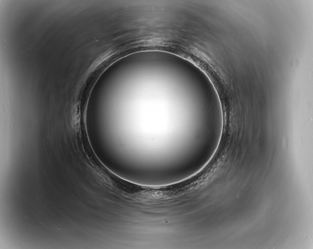 X0000093601450200710151212