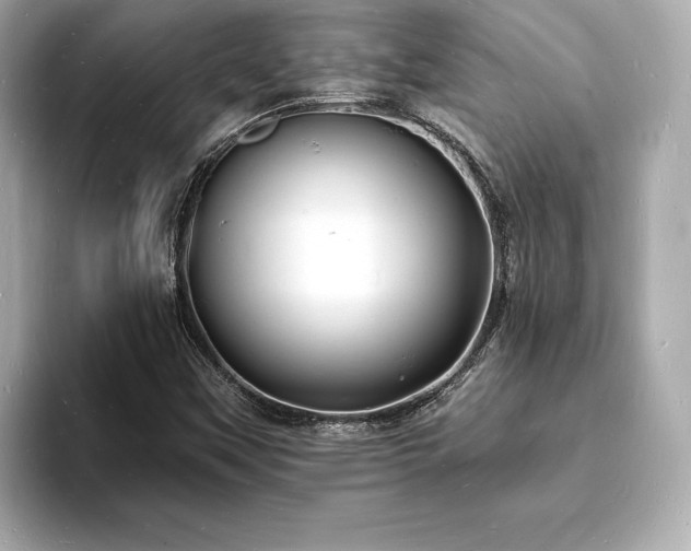 X0000093601451200710151212