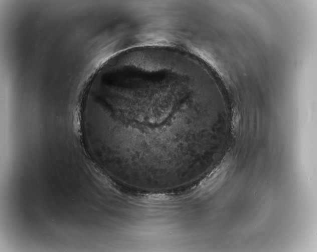 X0000093601455200710151212