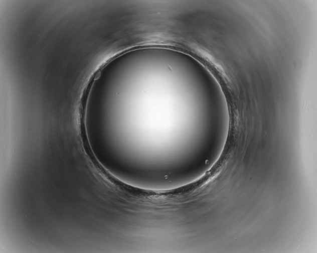 X0000093601463200710151212