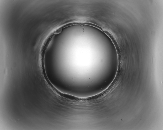 X0000093601464200710151212
