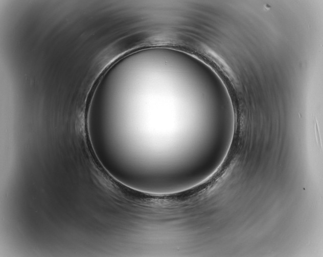 X0000093601465200710151212