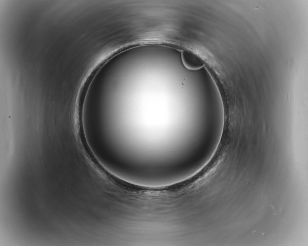 X0000093601469200710151212