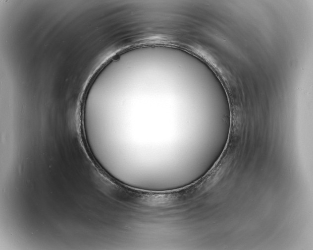 X0000093601474200710151212