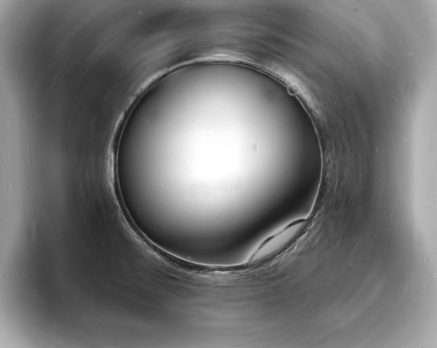 X0000093601476200710151212