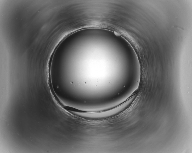 X0000093601479200710151212