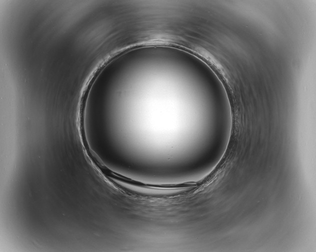 X0000093601480200710151212