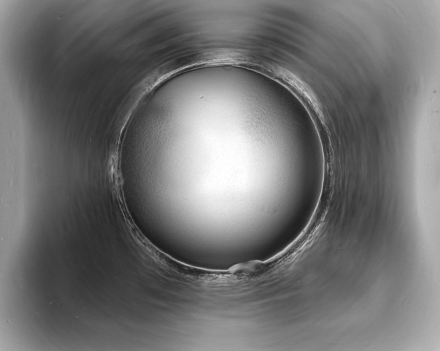 X0000093601481200710151212