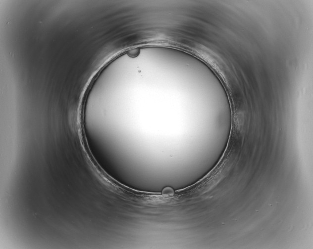 X0000093601482200710151212