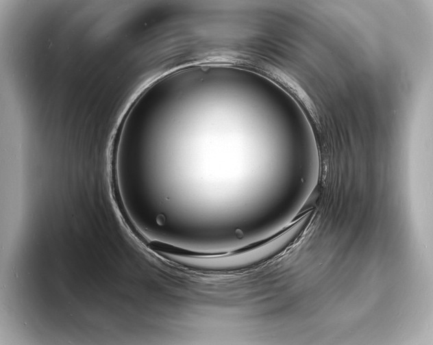 X0000093601483200710151212