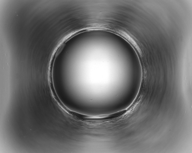 X0000093601485200710151212
