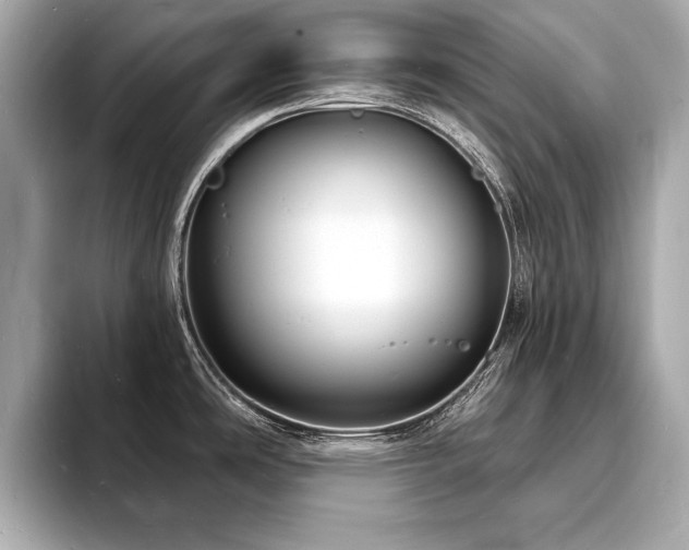 X0000093601486200710151212