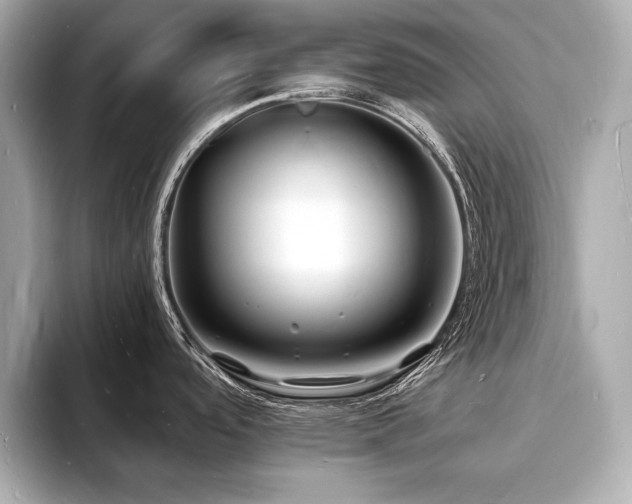 X0000093601488200710151212